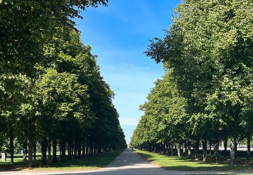 23-09-25 12-21-38 7423